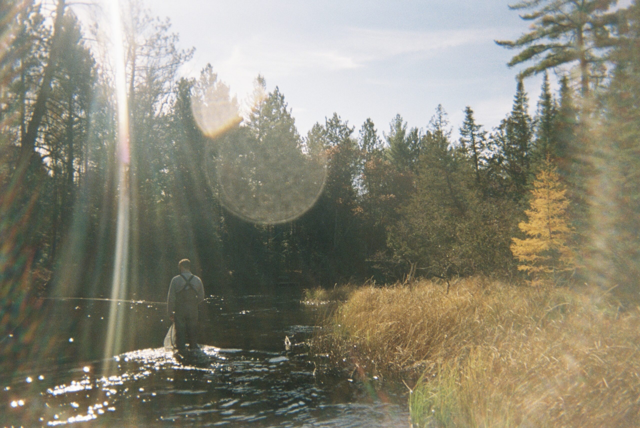Imagem de destaque do conto A génese do Rio Lena